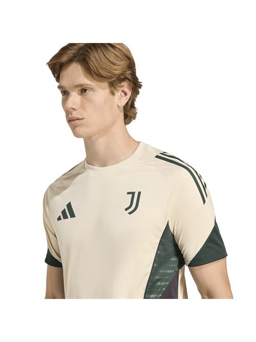 Adidas juventus maglia training europa 25/26 Juventus | JN7472JUV EU TR JSY